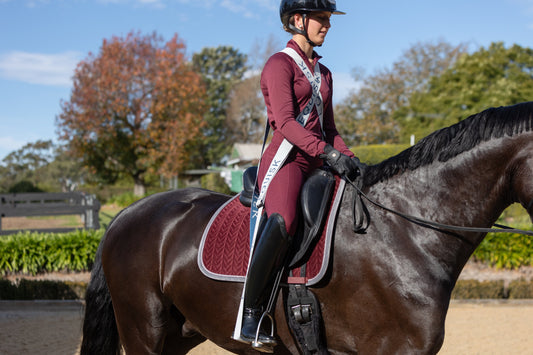 Dressage rider on black horse