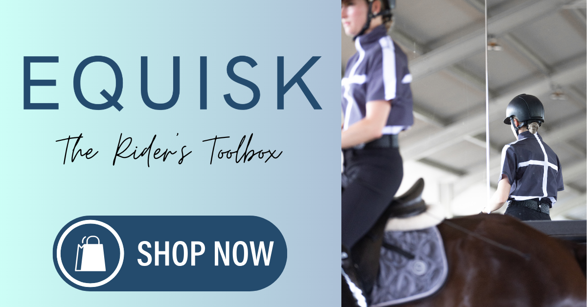 Preview image published by equisk.eu