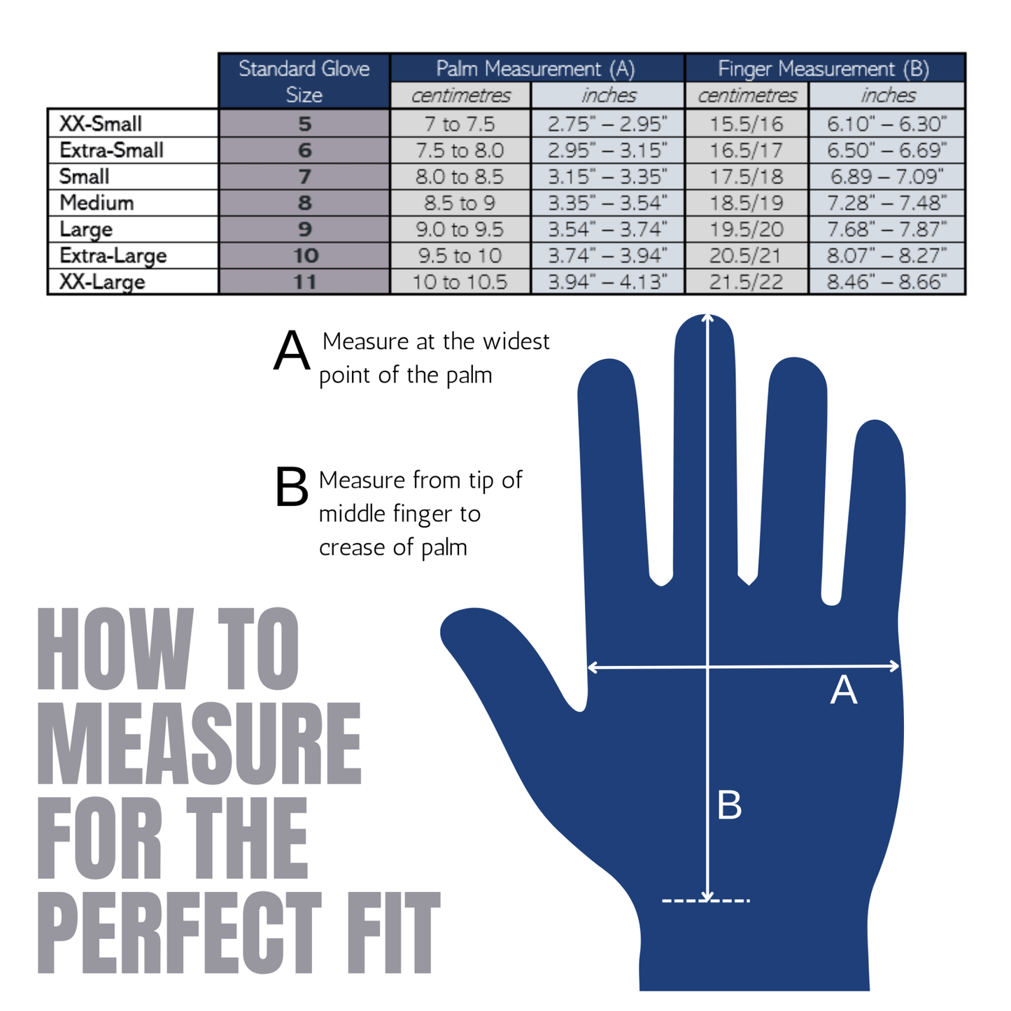 Starter Training Kit - EQUISK