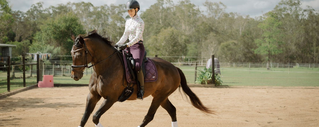Rider maintaining balance and softness during a downward transition in dressage