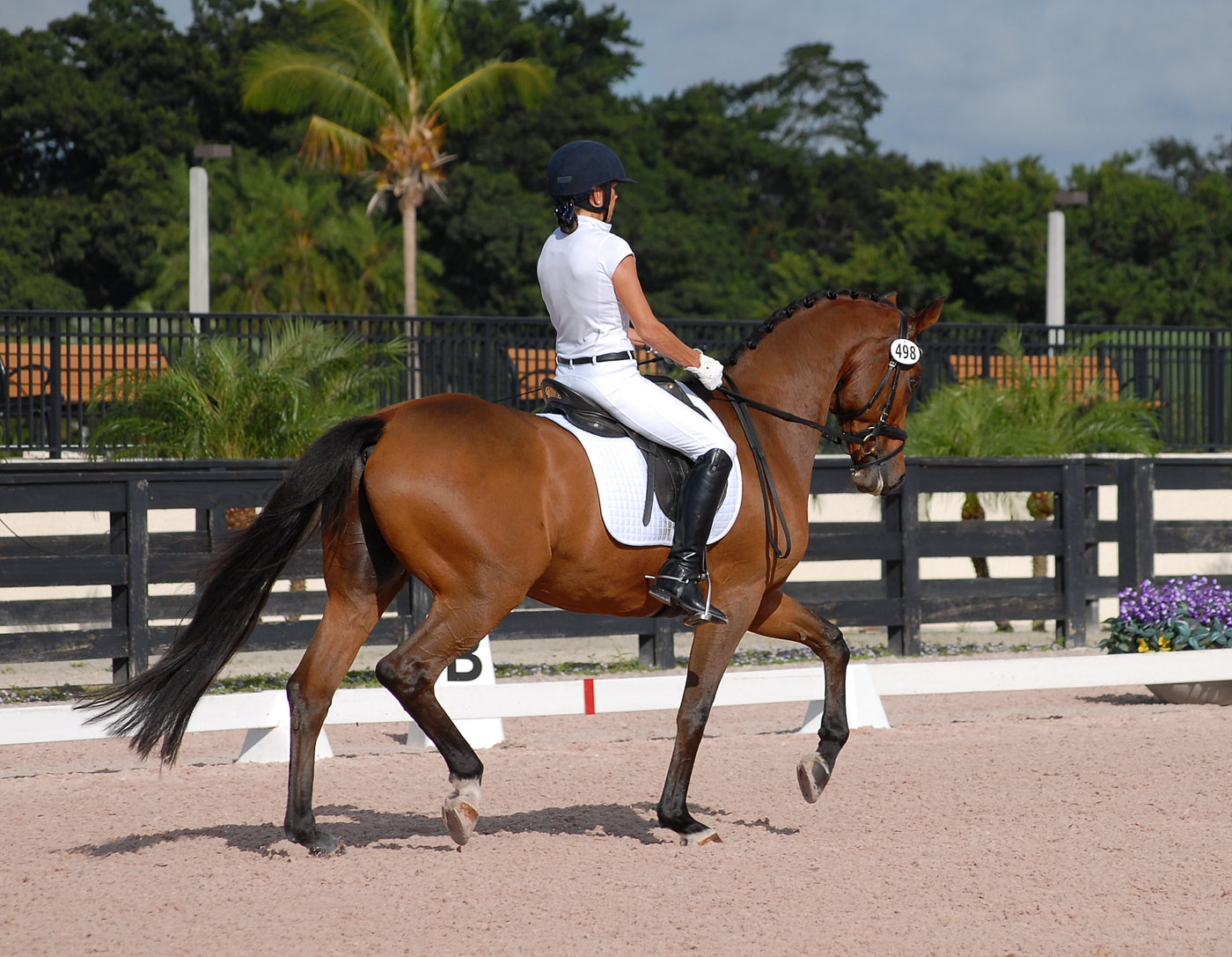 Mit 3 lustigen Übungen einen stabilen Handkontakt erreichen