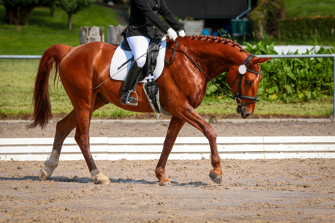So wechseln Sie vom freien Gehen zum mittleren Gehen, ohne den Kontakt zu verlieren
